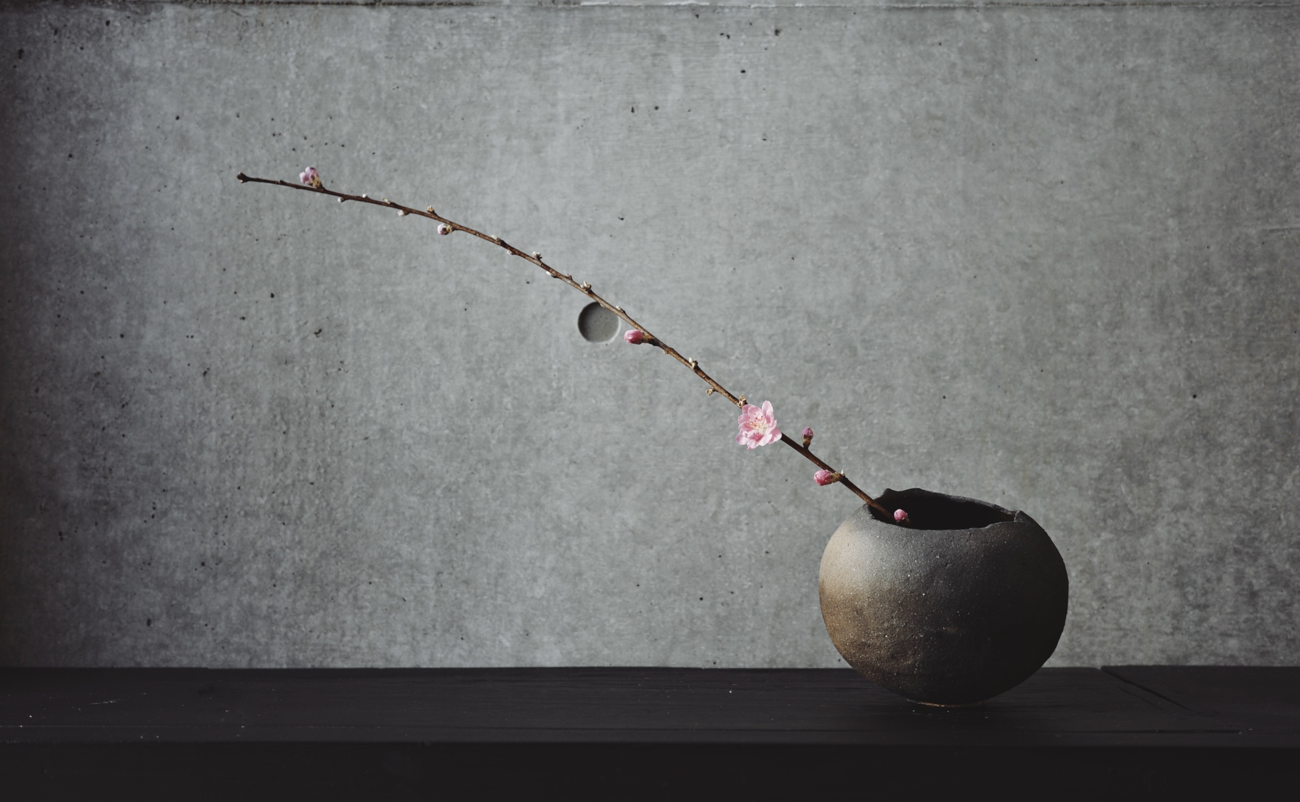 古墳時代の土器を買った話 | milieu（ミリュー）